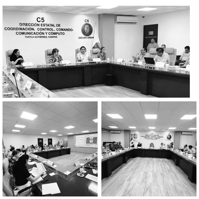 Participa FGE Chiapas en la 10ª Reunión de Trabajo de la Mesa de Estrategia de Seguridad y Protección en el Contexto Electoral 2024