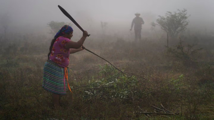 En Chiapas, las mujeres aún luchan por la igualdad en medio de una elección histórica: The Associated Press
