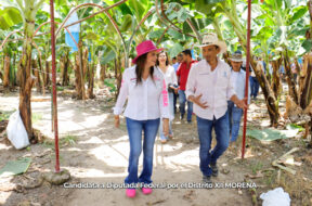 80B6C7DE-D14A-4305-BDB1-0FAA40E344C2