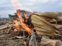 Incendios