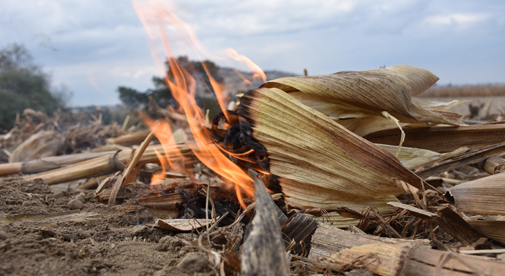 Quemas agrícolas son el principal desencadenante de incendios forestales en Chiapas