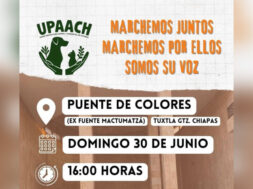 Marcha animales