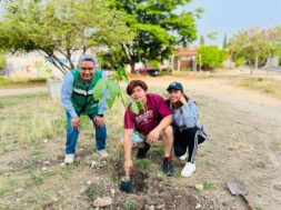 Siembra un arbol