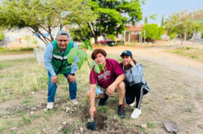 Siembra un arbol