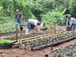 CHIAPAS TRABAJO