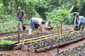 CHIAPAS TRABAJO