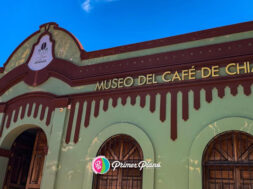 Museo del café