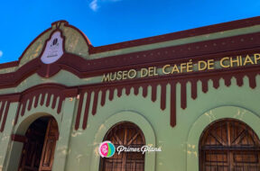 Museo del café