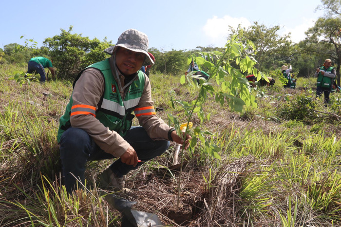 Carlos Morales Vázquez Invita a la Reforestación para Mitigar el Cambio Climático