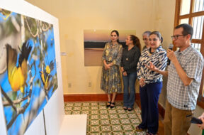 Exposición Chiapas en la encrucijada