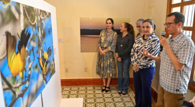 Exposición Chiapas en la encrucijada