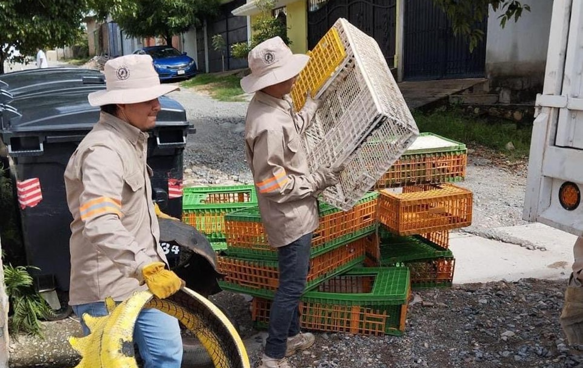 Descacharramiento esencial para prevenir dengue en Tuxtla Gutiérrez