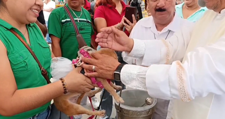 Bendición de mascotas en San Roque, una tradición de amor y fe en Tuxtla