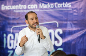 Marko cortes