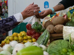 Frutas y verduras