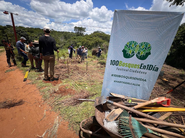 Tuxtlecos plantan “110 Bosques en Un Día”