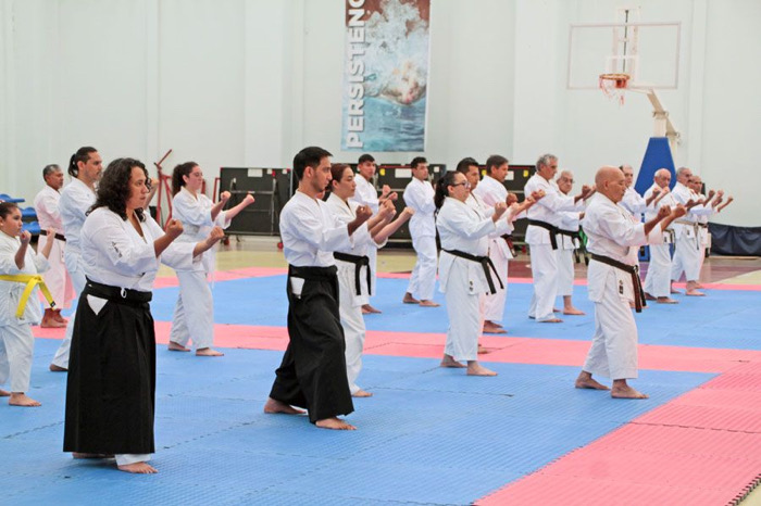 Asociación de Ryukyu Kobudo de Chiapas realizó con éxito Seminario Kobudo del Karate Antiguo