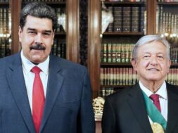 Amlo maduro