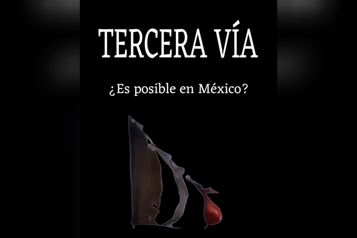 Tercera vía y 4T / Al Sur