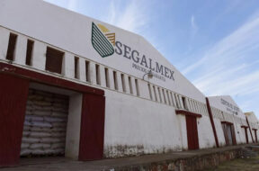 Segalmex