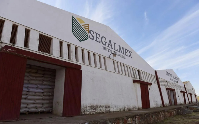 Sheinbaum desaparecerá Segalmex a pesar de desfalco millonario