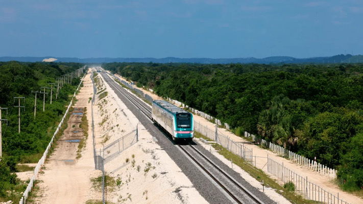 Sedena deforesta 219 hectáreas de selva para el Tren Maya, a pesar de controversias ambientales