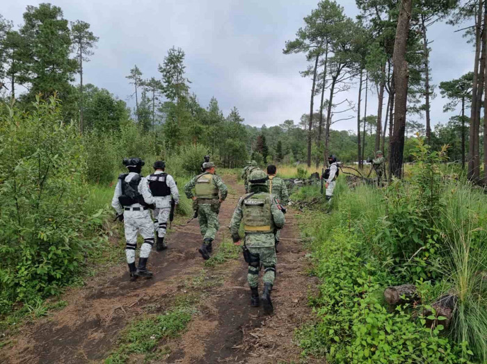 Comunidades de la selva y frontera pierden tierras y acceso por crimen organizado