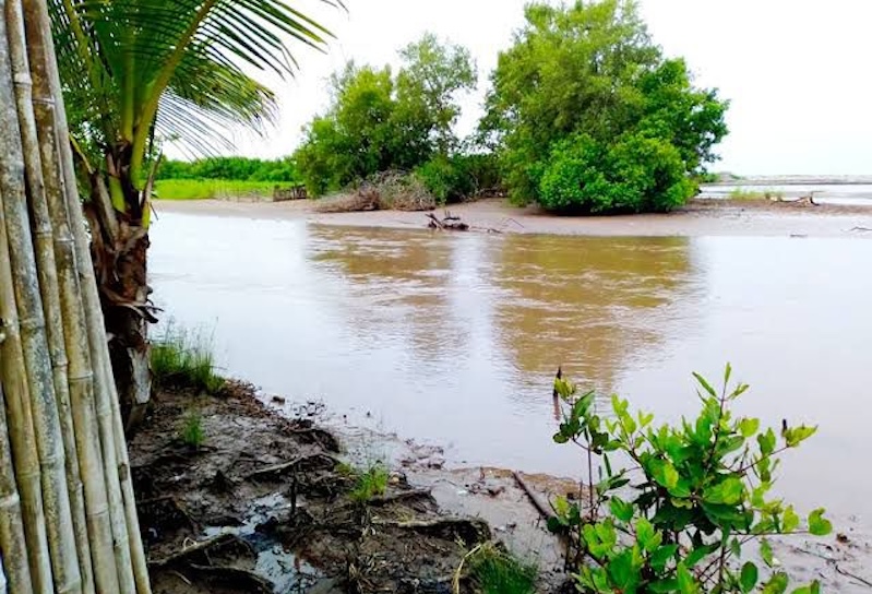 La costa de Chiapas / Al Sur con Montalvo