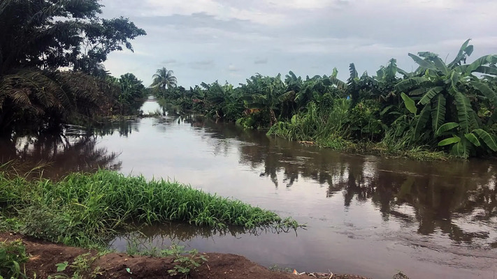 Productores denuncian abandono por parte de legisladores ante crisis agrícola