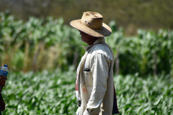 La era del desarrollo sustentable en Chiapas / Al Sur