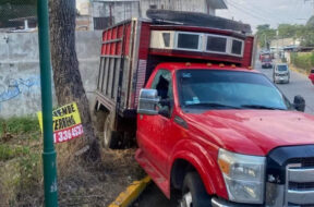 5491D94F-8B8D-4AF2-BE11-908587235451