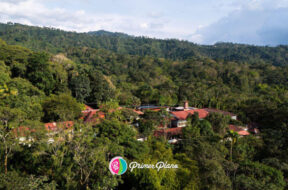 F5823676-DFCD-4D07-9D2C-3E1B21C99F9F