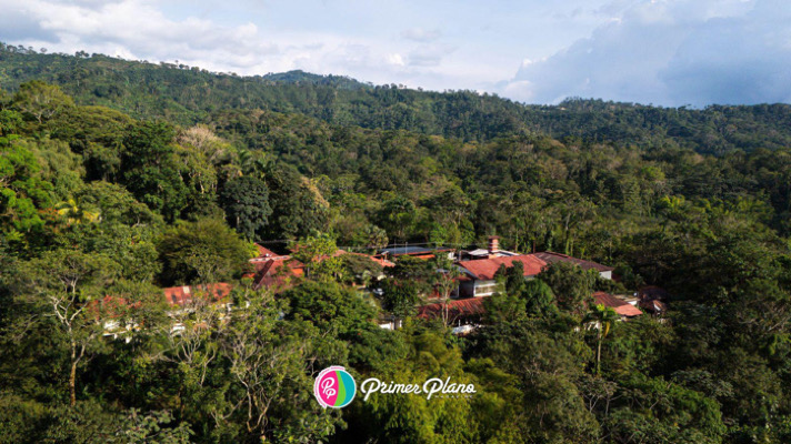 Finca Argovia es un destino de café orgánico y turismo sostenible en Chiapas