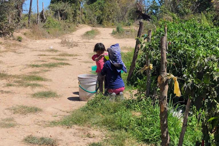 Chiapas enfrenta grave crisis de trabajo infantil en el sector agrícola, revelan datos del INEGI