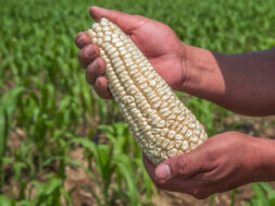 26A97F40-CD72-412E-BC04-FECBDD7A063F