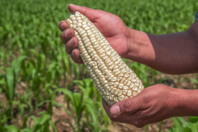 26A97F40-CD72-412E-BC04-FECBDD7A063F