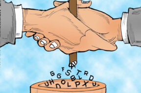 367C95A7-0B4D-45BC-8B2A-B4F841DD1133