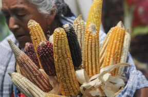 64D5876F-8C4F-48AE-BD95-04361AEAEB08