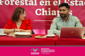 A71898B5-9622-41B1-8E29-887CB4613A2C