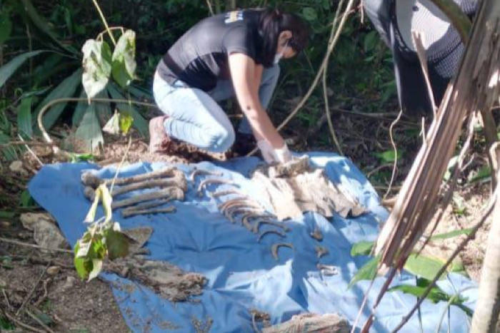 Encuentran 12 fosas clandestinas en Zapata y La Concordia en una semana