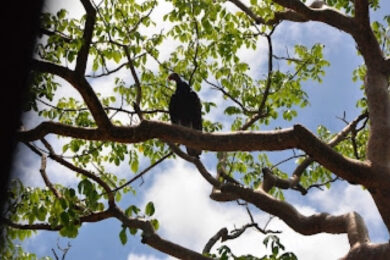 C7425EE7-E30E-4D8D-807E-F050C3995149