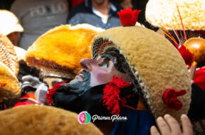 FD5398E0-77AA-442A-B0A6-2D06EB4AC38C