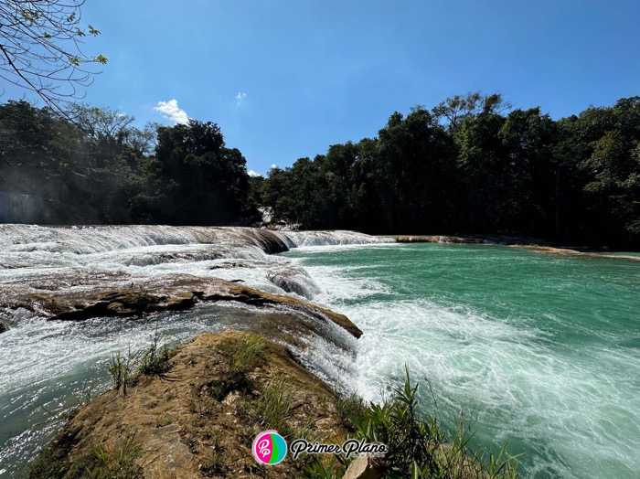 Cascadas de Agua Azul: Un Paraíso Turquesa en la Selva de Chiapas