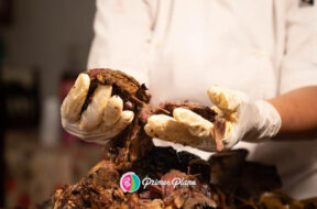 2A60E402-9322-4ECA-9A96-8B1A7623E29F