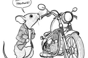 2BDF53E9-C734-4F10-A517-FD8611436C1E