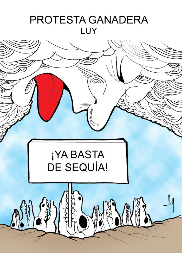 Colaboración de LUY