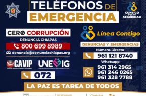 68CD6E25-7FE4-4D6A-8E0A-BBF106A0DB06