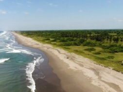 723FF142-1C8D-4E37-9D4B-BFD5F3975A60