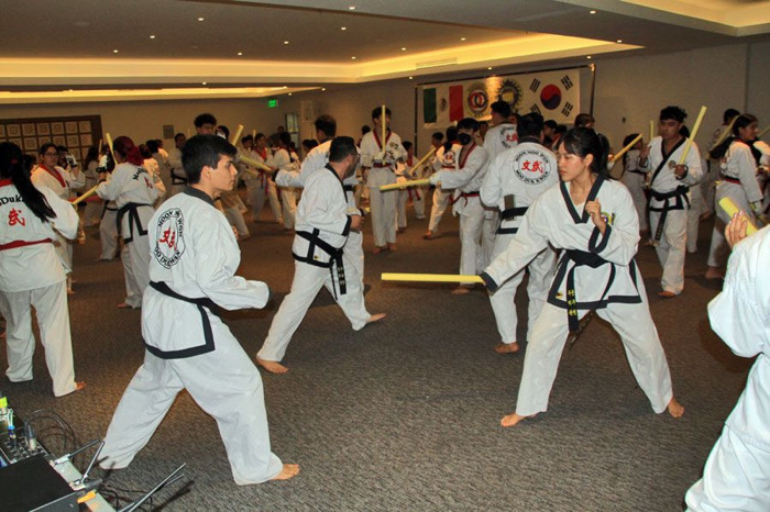 Moo Duk Kwan Chiapas organizó Seminario del Manejo“Dyung Dan Bong Sul 2025”