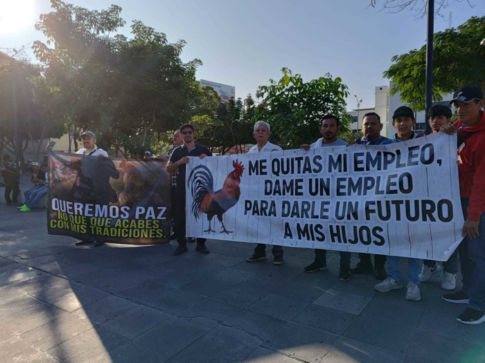 “No somos delincuentes”: Galleros y carrereros exigen diálogo al gobernador